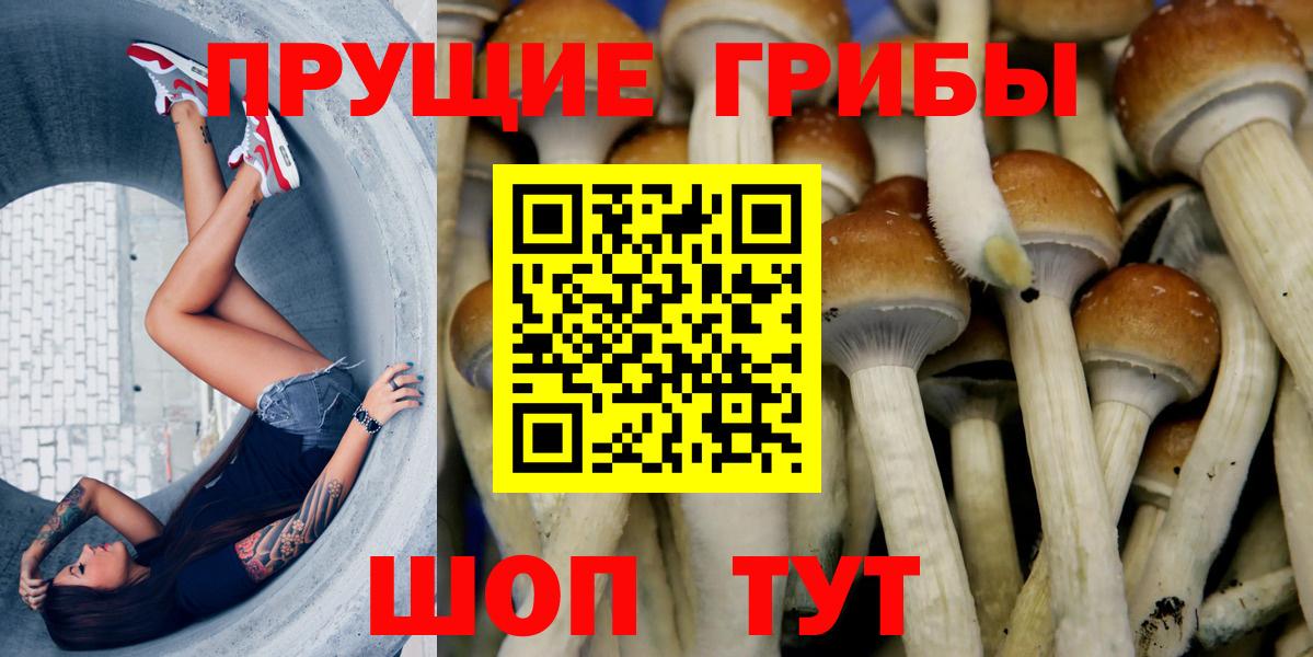 Невинномысск  Псилоцибиновые грибы ЛСД  Вход с VPN 