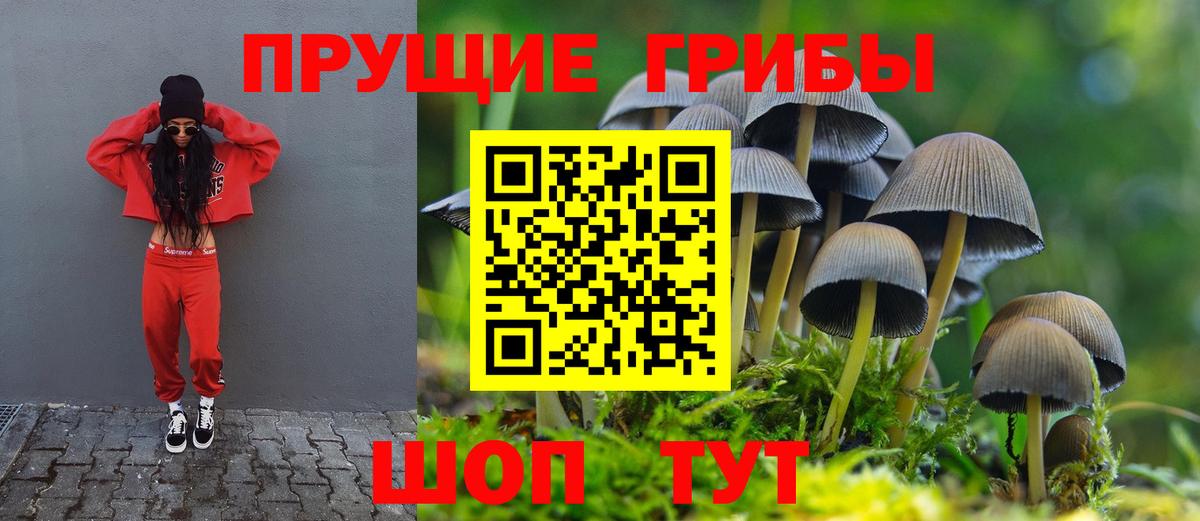 Галлюциногенные грибы ЛСД Невинномысск